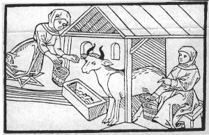 Dem Abwenden von Behexungen (in der Zeichnung geht es um Milchzauber) diente der Drudenfuß. Ein Teil des Pentagramms ist links im Bild zu erkennen. Holzschnitt aus dem Jahre 1486.